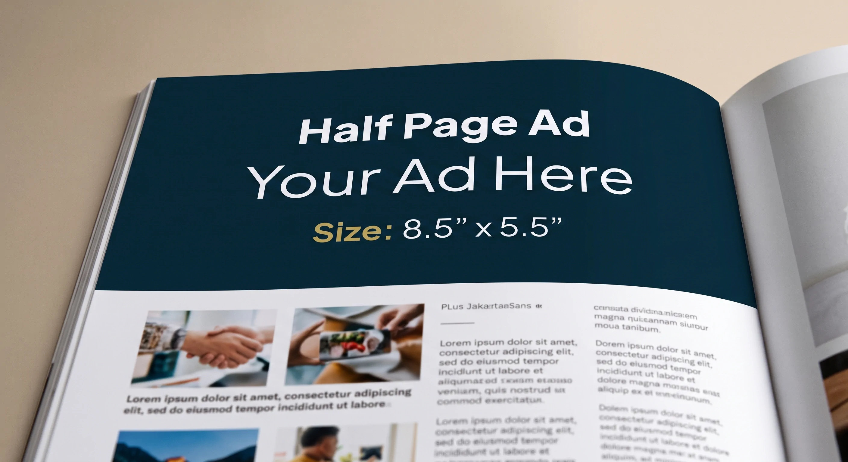 Half Page Ad format example