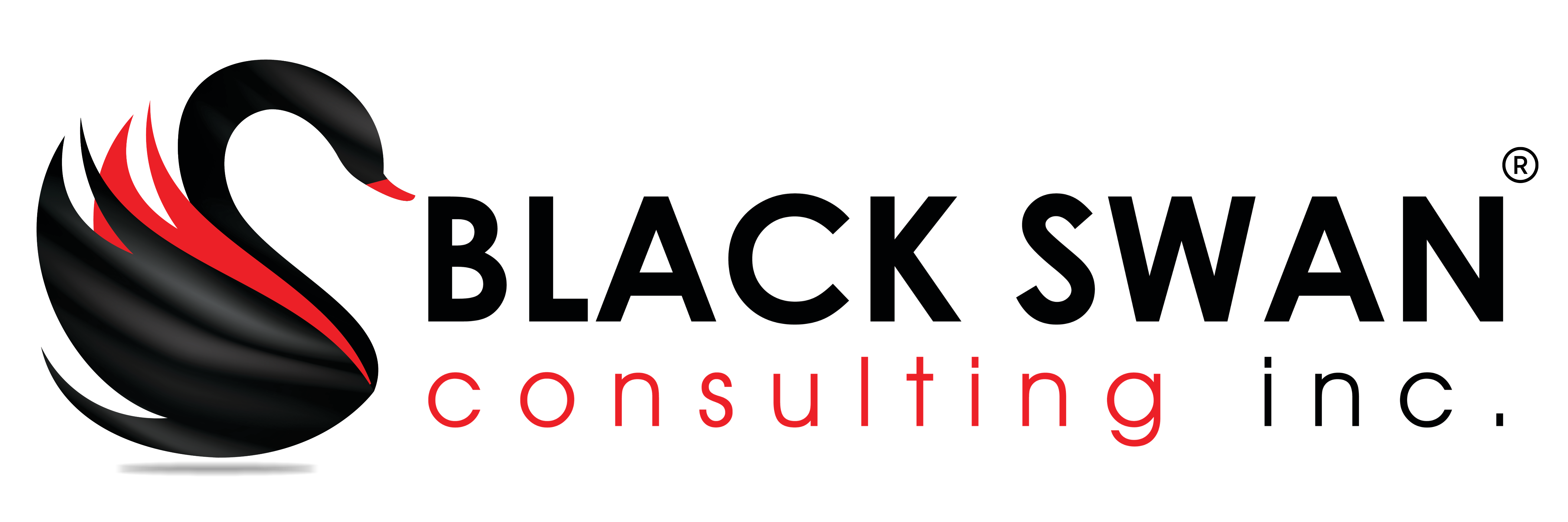Black Swan Consulting Inc logo
